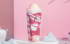 杭州蜜雪冰城加盟支持保障十足，开店赚钱就是这么简单!